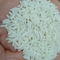 برنج هاشمی 50 کیلو