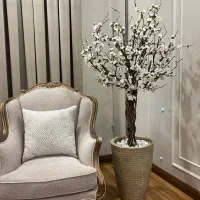 درختچه شکوفه گیلاس وارداتی