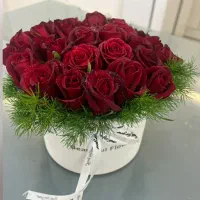 هانیل رز تولید و پخش باکس رز