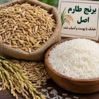 برنج طارم
