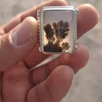 انگشتر شجر خاص