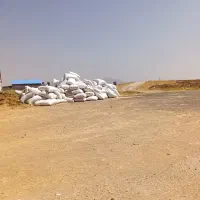 فروش کاه عمده و خرده