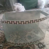 اکواریوم