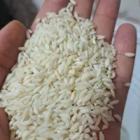 برنج عنبر بو