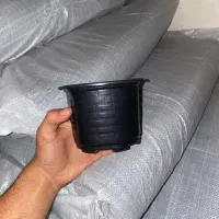 گلدان ژله ای سایز ۱۲