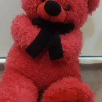 خرس قرمز ولنتاین