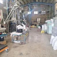 حسابدار خانم
