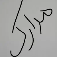 مدارک گمشده