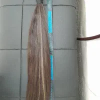 موی طبیعی|آرایشی، بهداشتی، درمانی|تهران, خزانه|دیوار