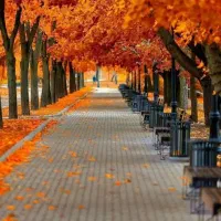 ضامن بازنشسته برای وام ودیعه مسکن