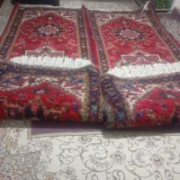 فرش کناره هریس تاجری|فرش|تبریز, |دیوار