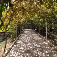 ویلا-1500-متر-سند-تک-برگ-تاپ-لوکیشن-بحر-اصلی