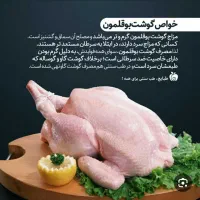 بوقلمون پرورشی بیوتی  ارگانیک کیلو ۱۶۵تومان زنده|حیوانات مزرعه|اندیمشک, |دیوار