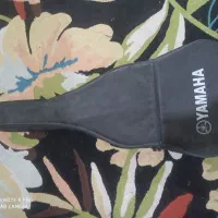 گیتار نورانیا|گیتار، بیس، امپلیفایر|شهرضا, |دیوار