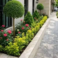 خدمات باغبانی باغچه کاری هرس کاری خاک گلدون|خدمات باغبانی و درختکاری|تهران, پاسداران|دیوار