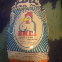 اشیا گم شده