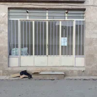 اجاره مغازه