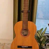 گیتار کلاسیک 10 Manoel rodregz|گیتار، بیس، امپلیفایر|رشت, چمارسرا|دیوار