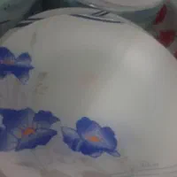 بشقاب|ظروف سرو و پذیرایی|بیرجند, |دیوار