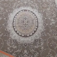 جفت فرش ۱۲ متری گردویی|فرش|تربت جام, جامی|دیوار