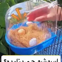 فروش لانه پرنده|لوازم جانبی حیوانات|تهران, سبلان (لشگر)|دیوار