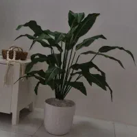 گل برگ عبایی مصنوعی