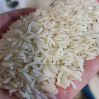 برنج هاشمی اصل درشت تازه درجه یک