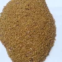 بذر یونجه باکیفیت کیلویی