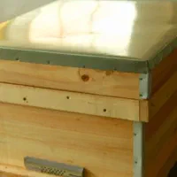 کندوی زنبور عسل