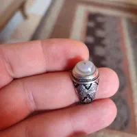 بابقوری نی نی دار