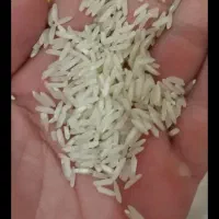 برنج دانه بلند