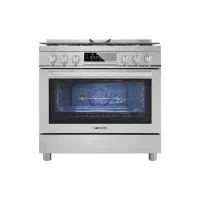 فرگاز آخرین مدل اسنوا