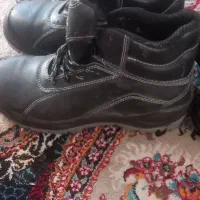 کفش مجلسی