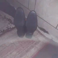 کفش چرمی|کیف، کفش، کمربند|مرودشت, ابوذر جنوبی|دیوار