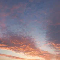 تدریس زبان انگلیسی و نقاشی به کودک