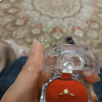 گمشده طلا|اشیا|قم, شهرک امام حسن|دیوار