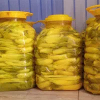ترشی بیلهر یه عدد رایگان