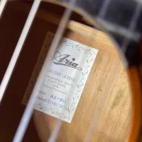 Aria Ak80|گیتار، بیس، امپلیفایر|تهران, افسریه شمالی|دیوار