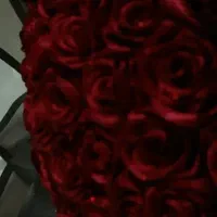 گل مصنوعی و طبیعی|گل مصنوعی|سرپل ذهاب, |دیوار