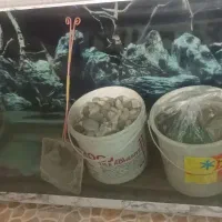 آکواریوم باهمه ی وسایل