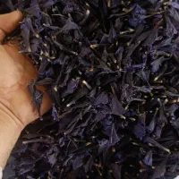 گل گاو‌زبان صادراتی