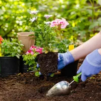 کلیه کارهای باغبانی انجام می شود