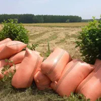 جو هاشمی اصلاح شده