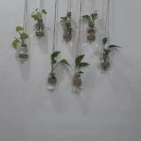 آویزگل‌وباکس