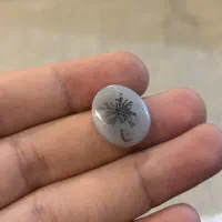 شجر تک درخت فوق العاده