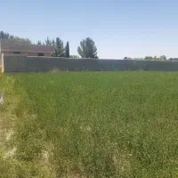 زمین-باغچه