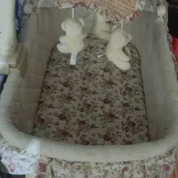 1 کالسکه و 1 عدد نعنی. کاملا سالم