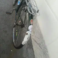 دوچرخه 26 فونیکس|دوچرخه، اسکیت، اسکوتر|باوی, |دیوار