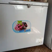 دو عدد فریزر برفاب و یک عدد یخچال ایستاده