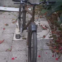 یک عدد دوچرخه|دوچرخه، اسکیت، اسکوتر|رشت, امین الضرب|دیوار